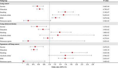Mendelian randomization to explore the direct or mediating associations between socioeconomic status and lung cancer